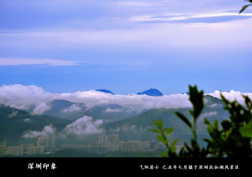 解惑宝